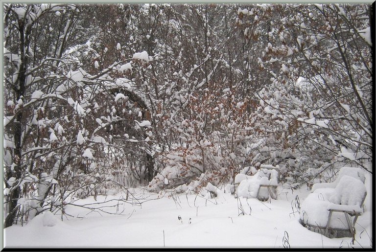 deep snow on trees and chairs in sunken garden.JPG