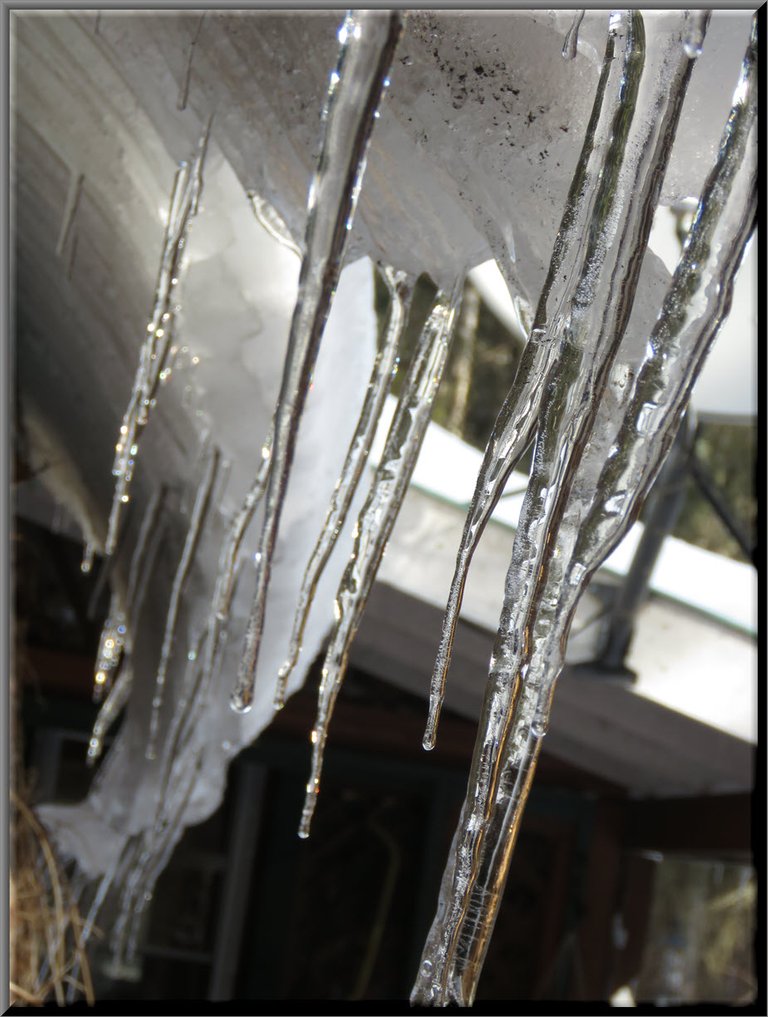sharp close up of group of icicles on lip of snow sliding off roof.JPG