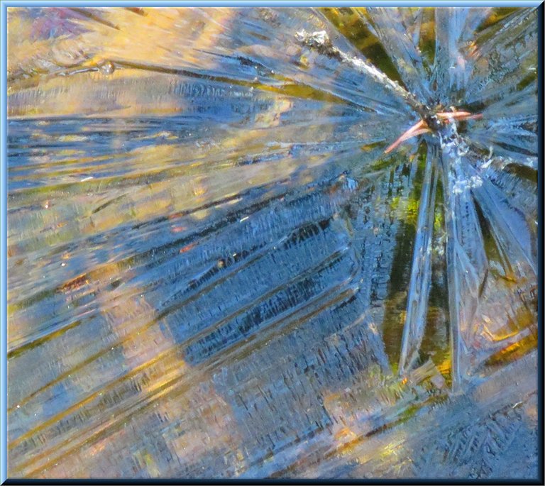 ice pattern on plant makes star shape blue tones.JPG