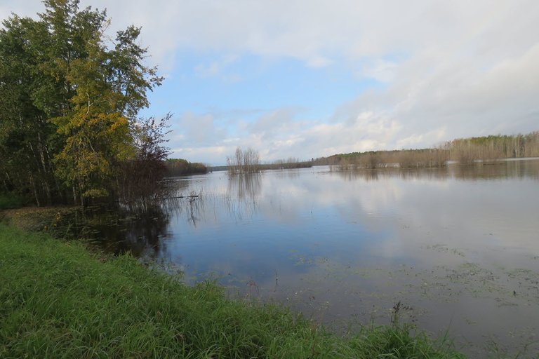 overview of duck pond.JPG