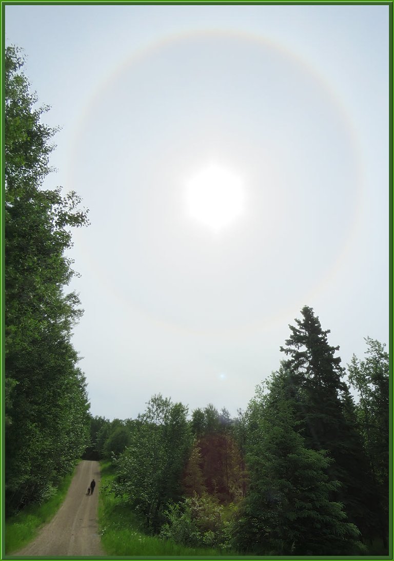 ring around sun above Don walking Bruno up hill on road.JPG