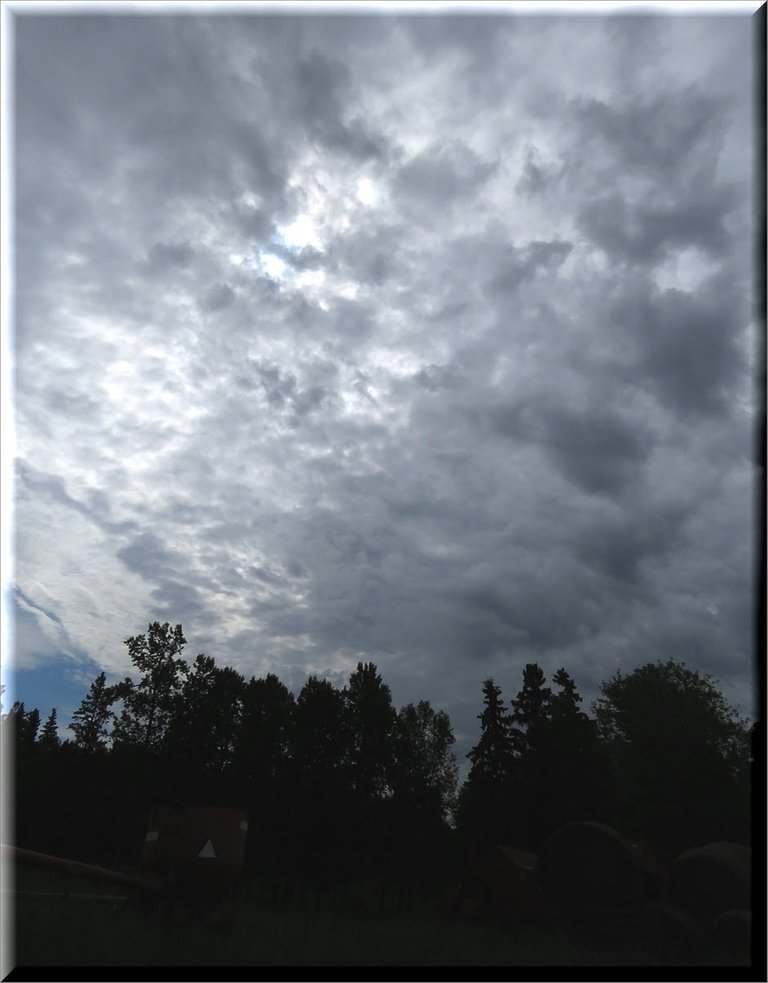 interesting dark clouds over spruce trees.JPG