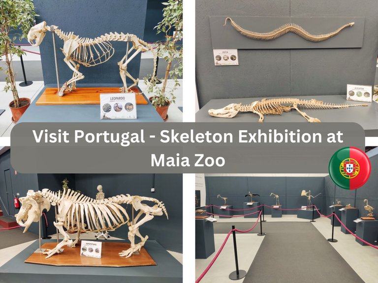 Visit Portugal - Skeleton.png