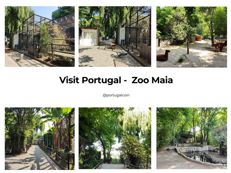 Visit Portugal - Zoo.png