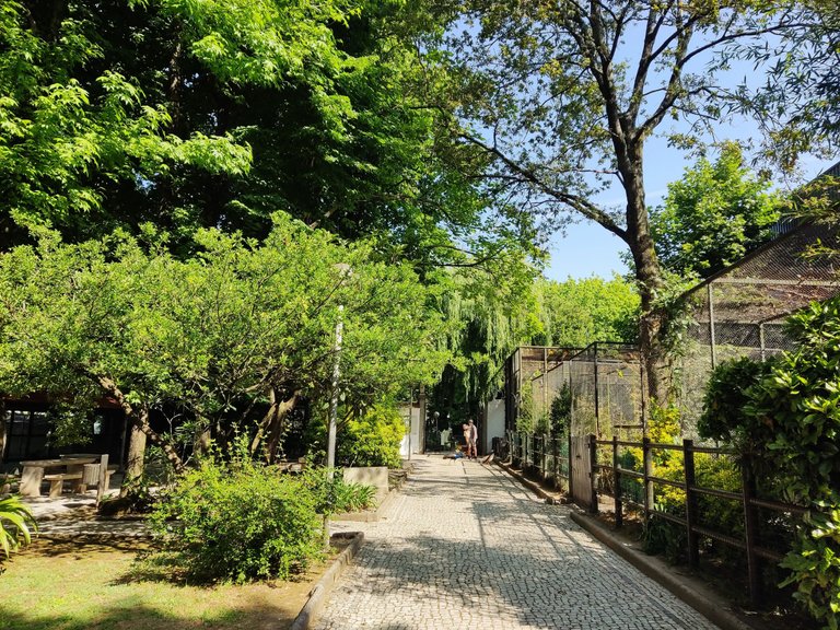 04.jpg