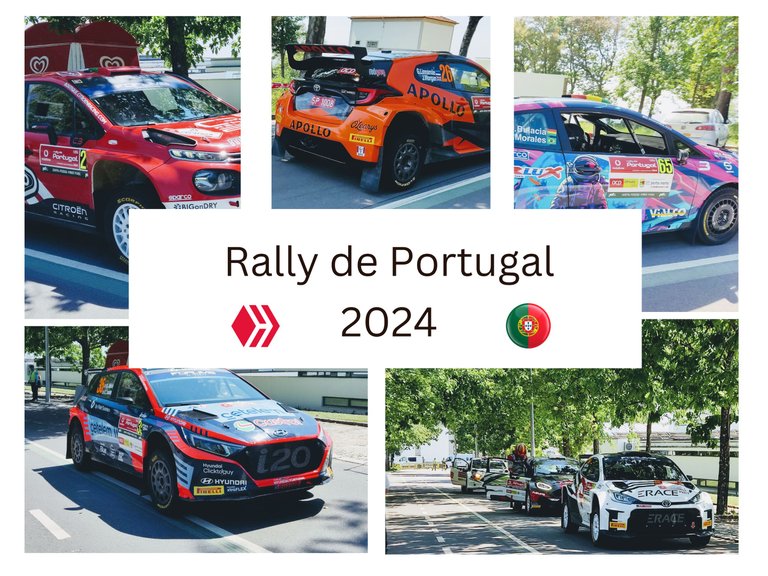 2024 rally de portugal.png