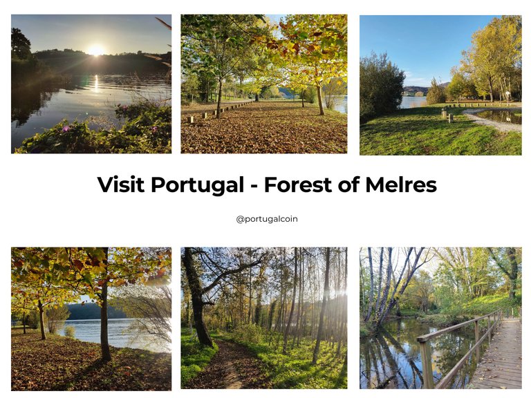 Visit Portugal - Forest of Melres.png