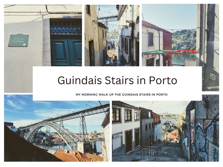 Visit Portugal - guindais.png