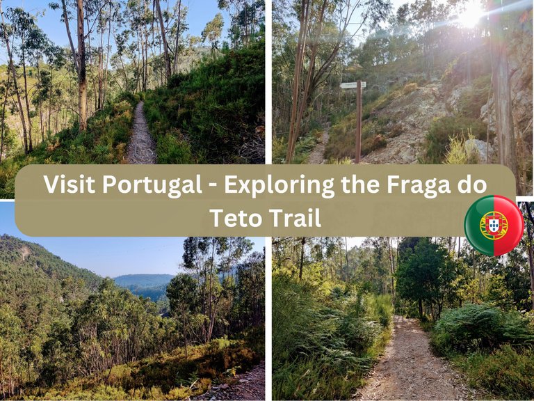 Visit Portugal - Fraga do teto.png