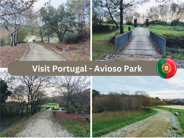 Visit Portugal - avioso park.png