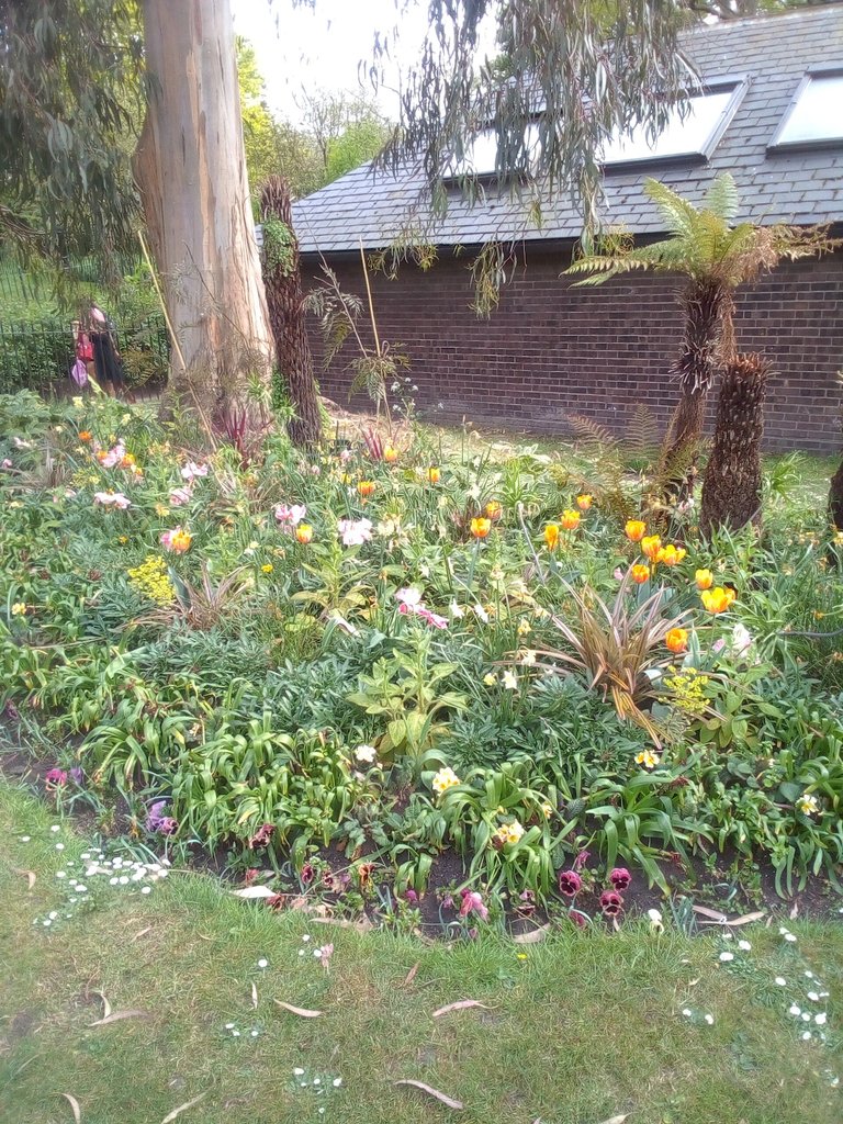 9may4.jpg