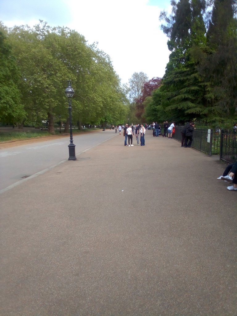 9may5.jpg