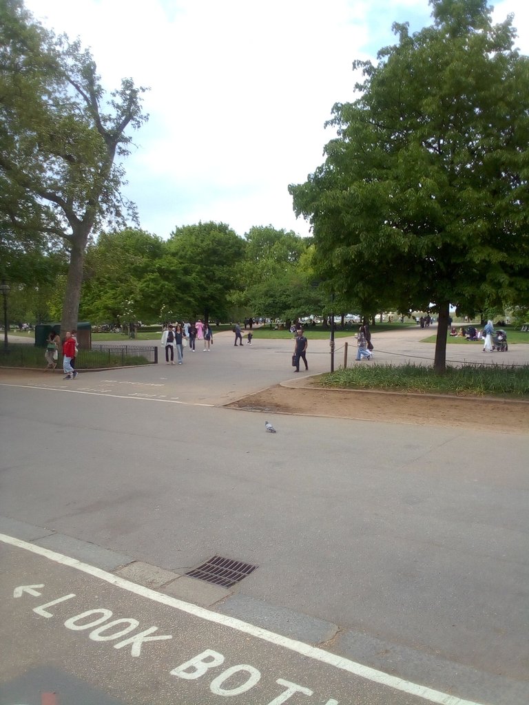 9may9A.jpg