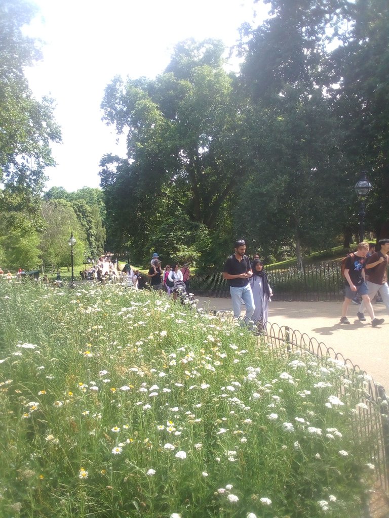 18jun6.jpg