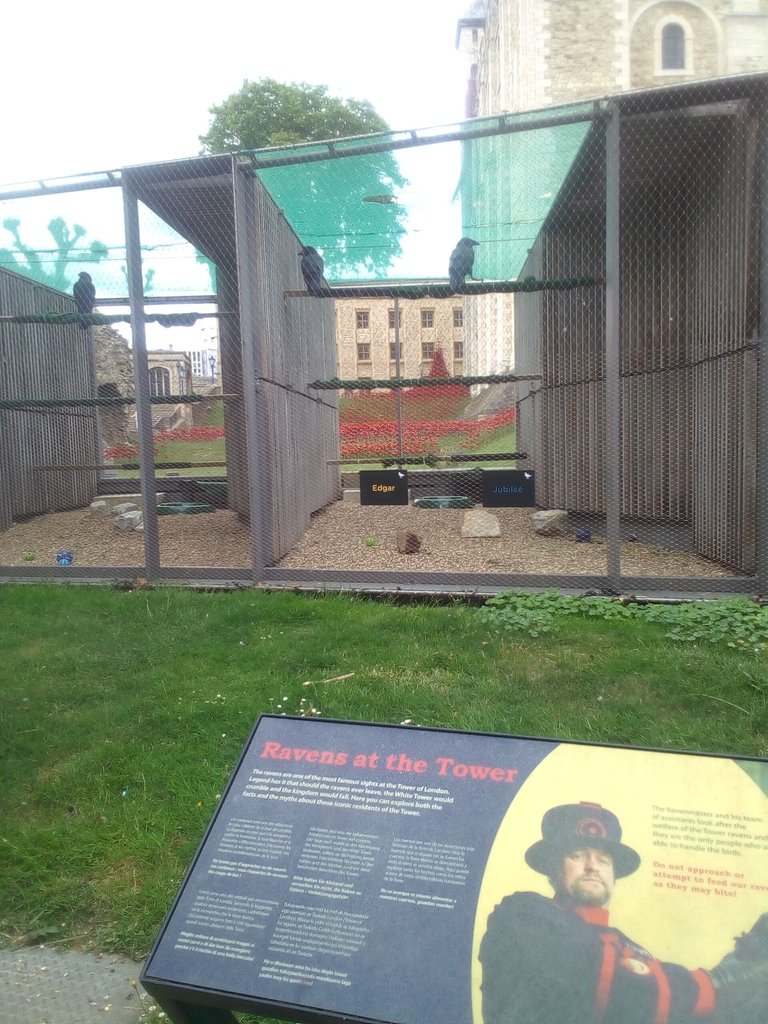 4jun8.jpg