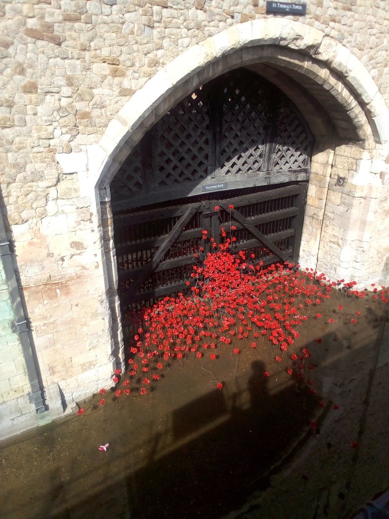 4may6.jpg