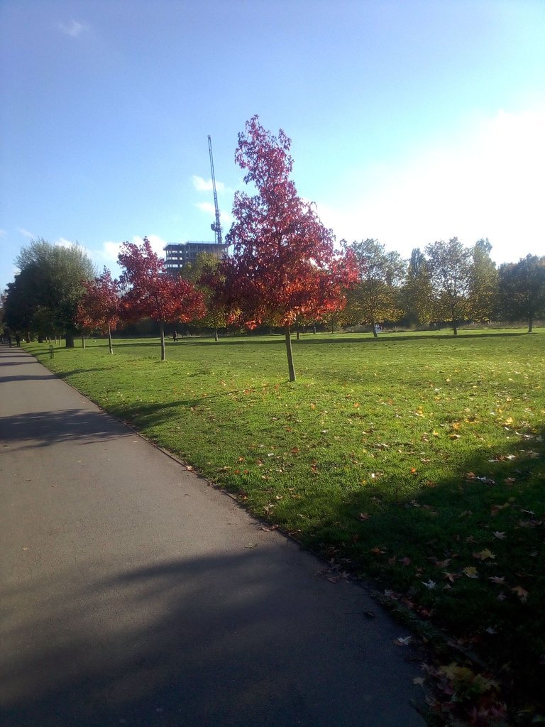 14nov6.jfif