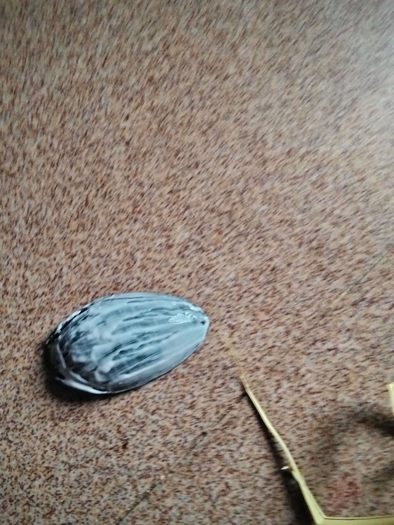 1000093048.jpg
