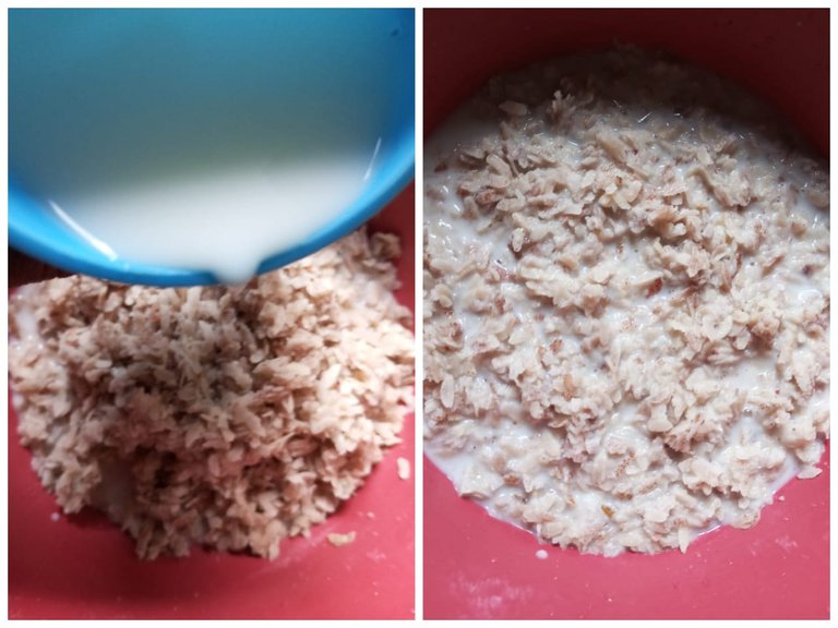 WhatsApp Image 2025-11-08 at 15.03.59.jpeg