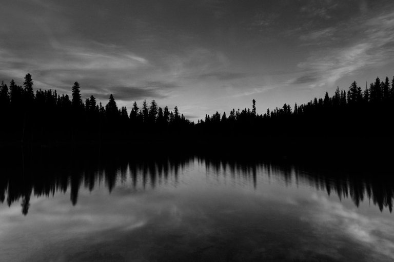 photo-1459278558918-f94278c0f022.jpeg