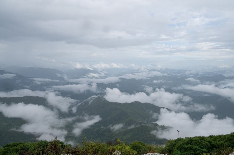 DSC_6177.jpg