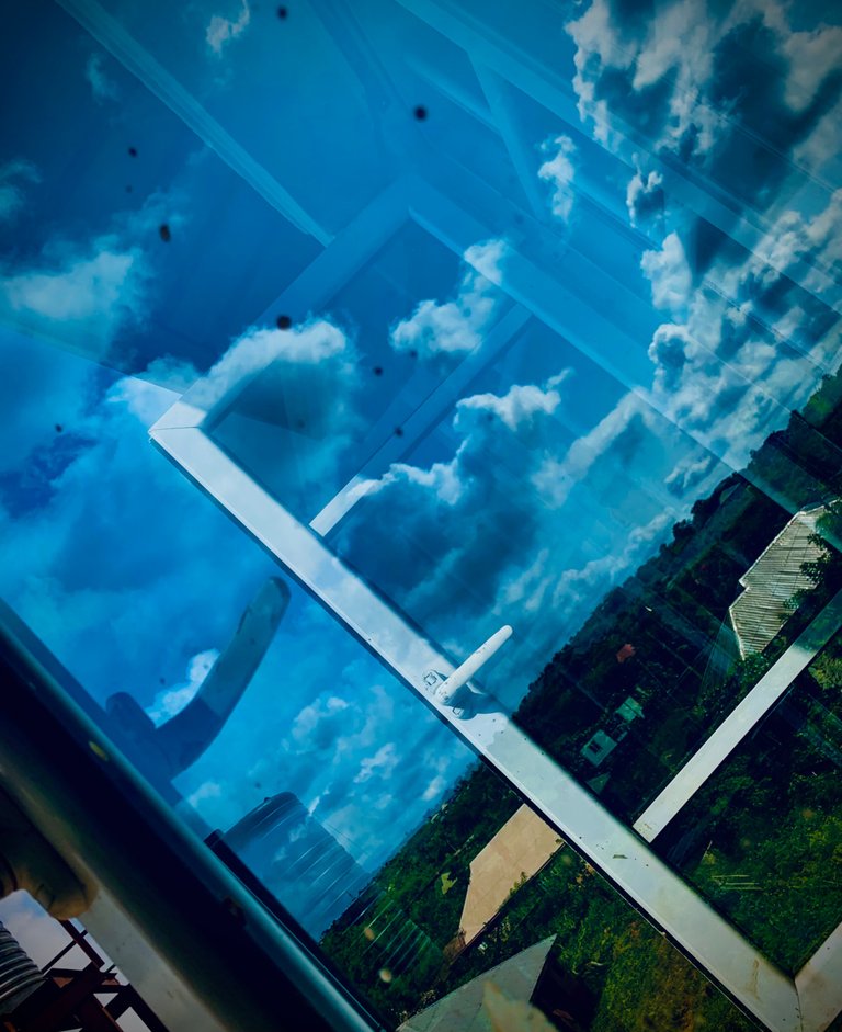 IMG_0983.jpeg