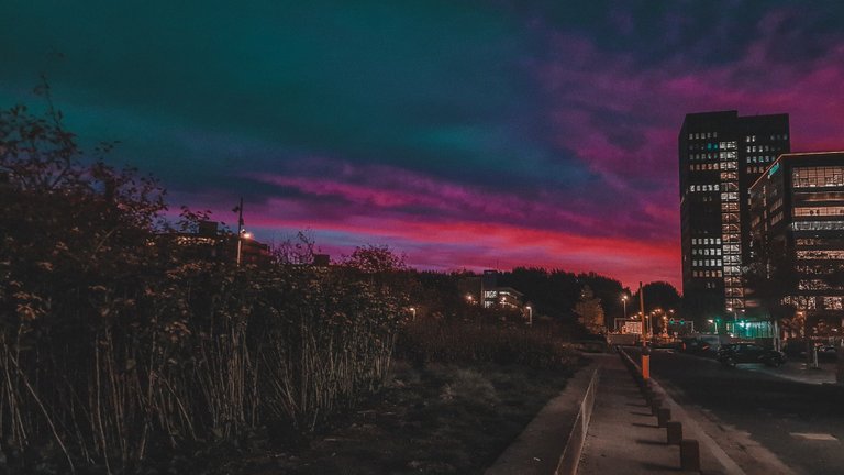 20221020_073347.jpg