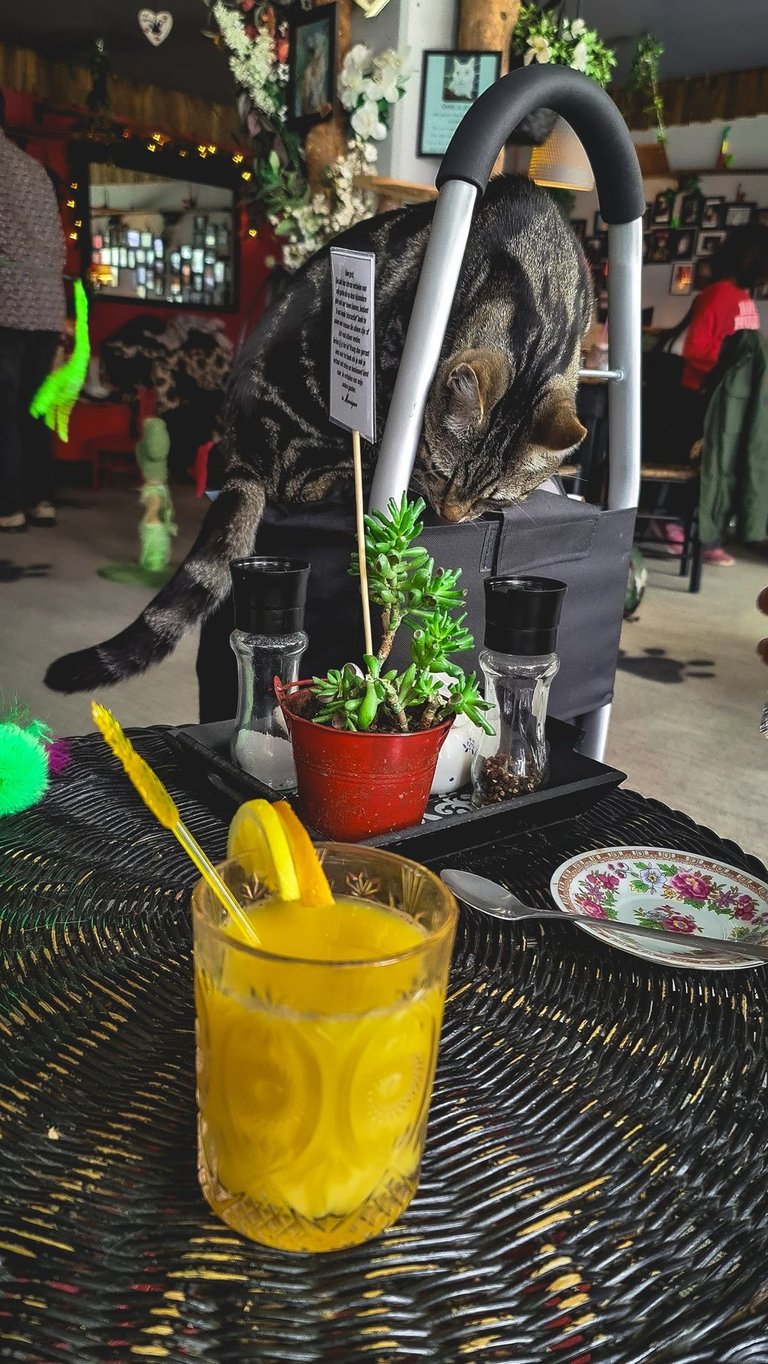 20250608_143130.jpg