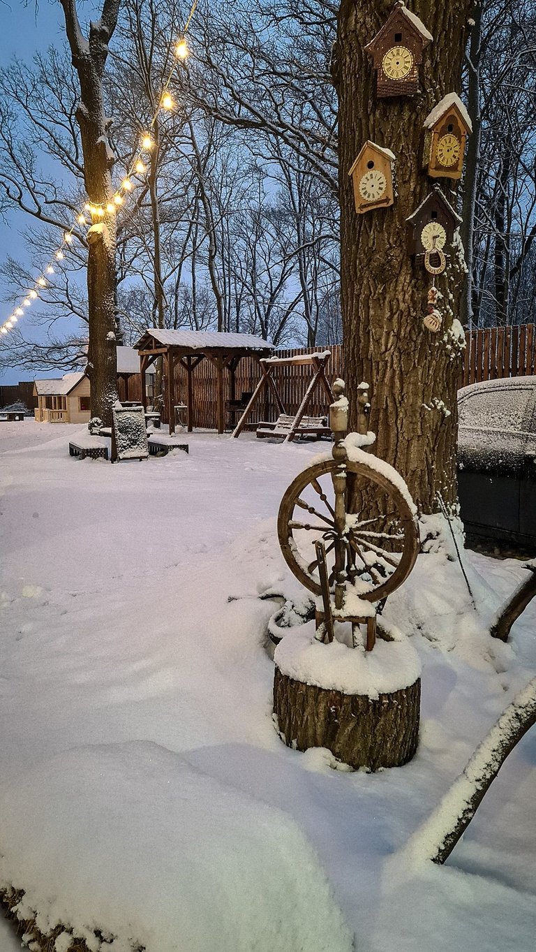 20220131_164438.jpg