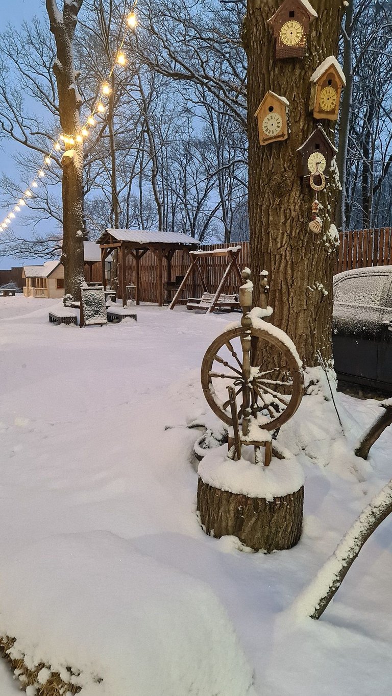 20220131_164436.jpg