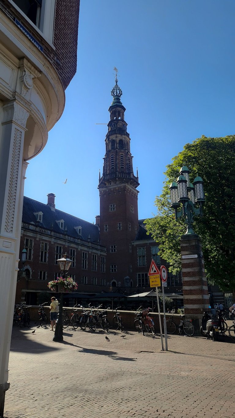 20250629_175951.jpg