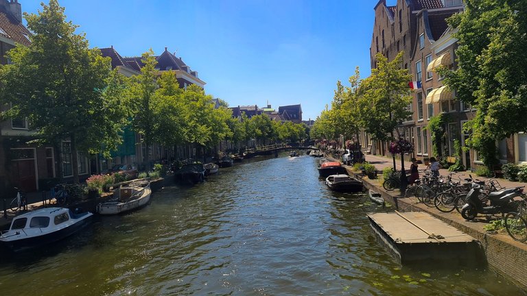 20250629_160520.jpg