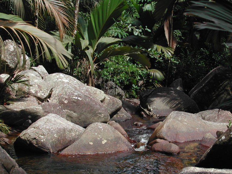 Seychelles National Botanical Gardens (Victoria).JPG