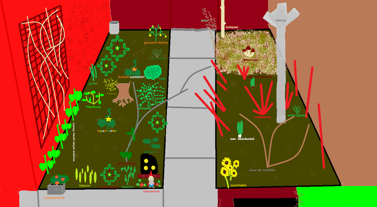 proto26's projected garden.png