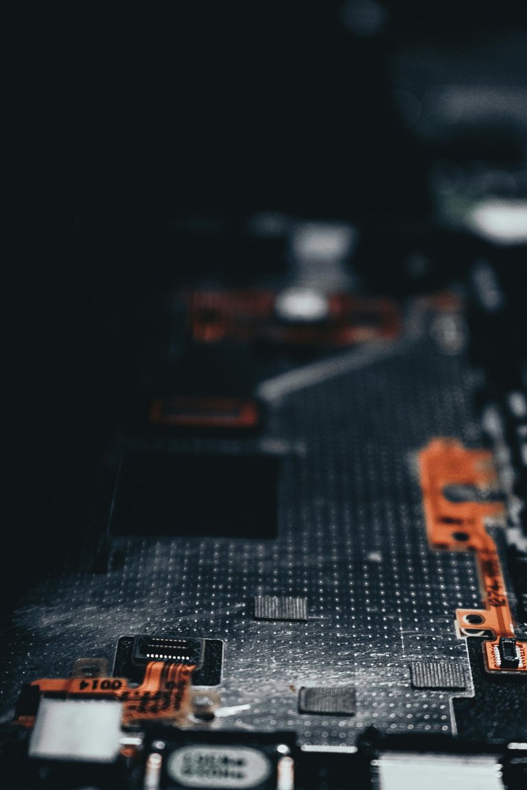 pexels-timson-foox-776012-2182863.jpg