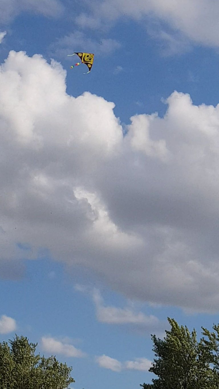 VideoCapture_20221003-094925.jpg