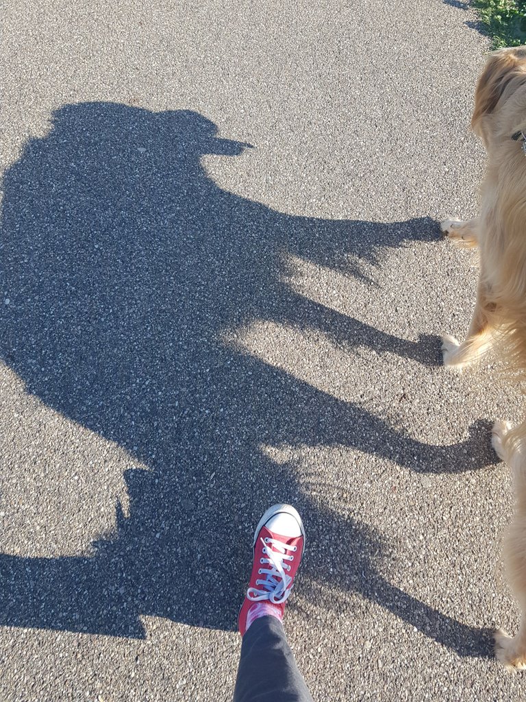 20220928_154040.jpg