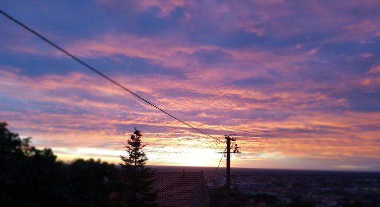 20221003_093154.jpg