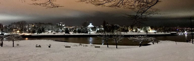 IMG_1895 (2).jpeg
