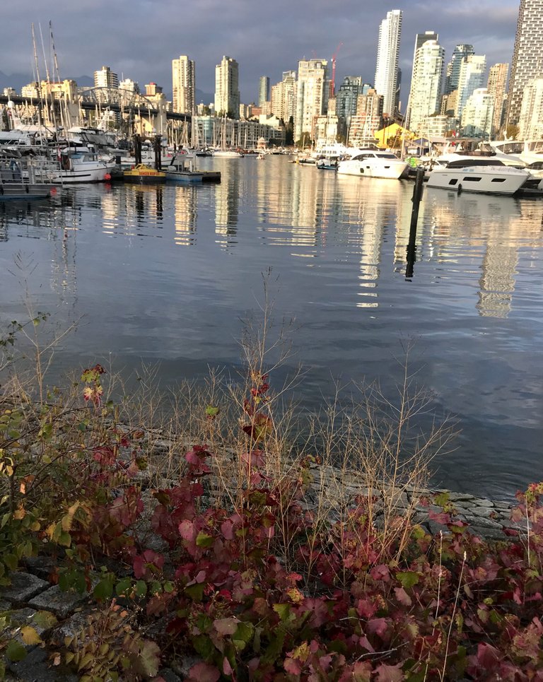 IMG_0888.jpeg