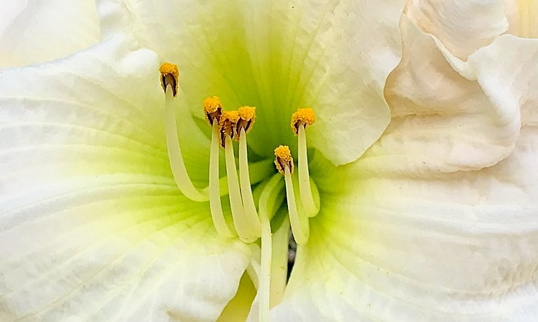 IMG_0436 (4).jpeg