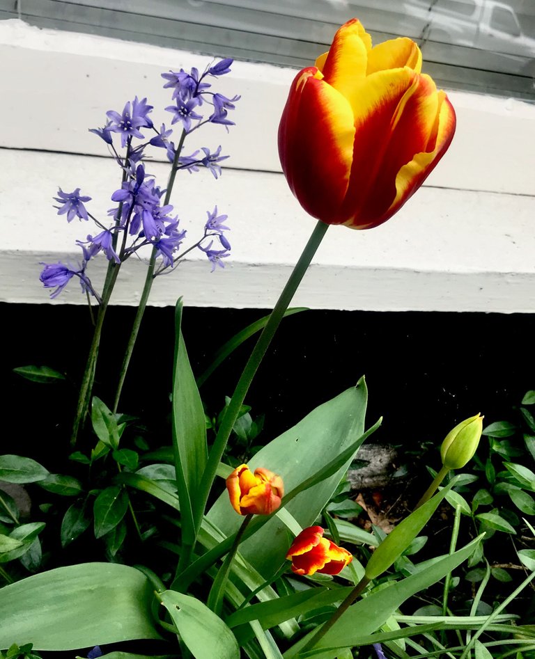 IMG_3027.jpeg