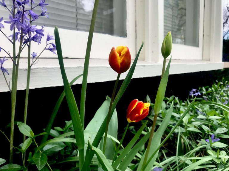 IMG_3028.jpeg