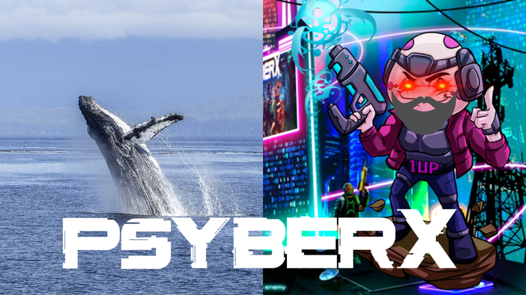 pasyberwhale.png