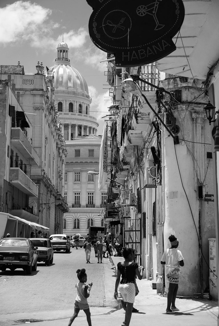 _MG_9073.jpg