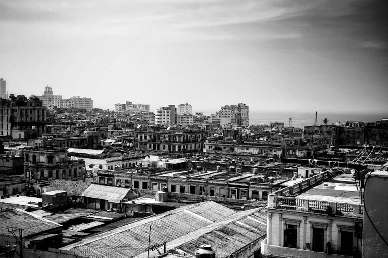 _MG_4586-01.jpeg