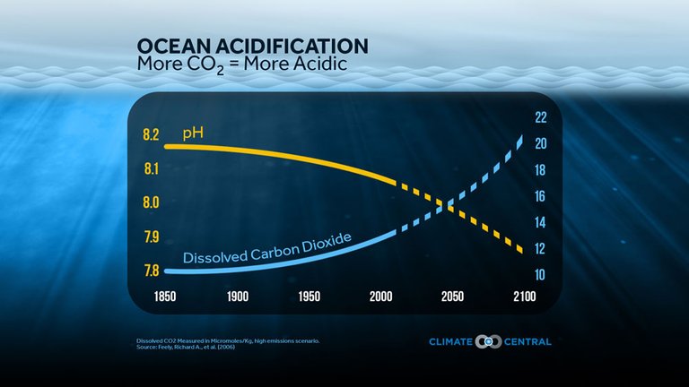 2015OceanAcidification_CO2Graph_web.jpg