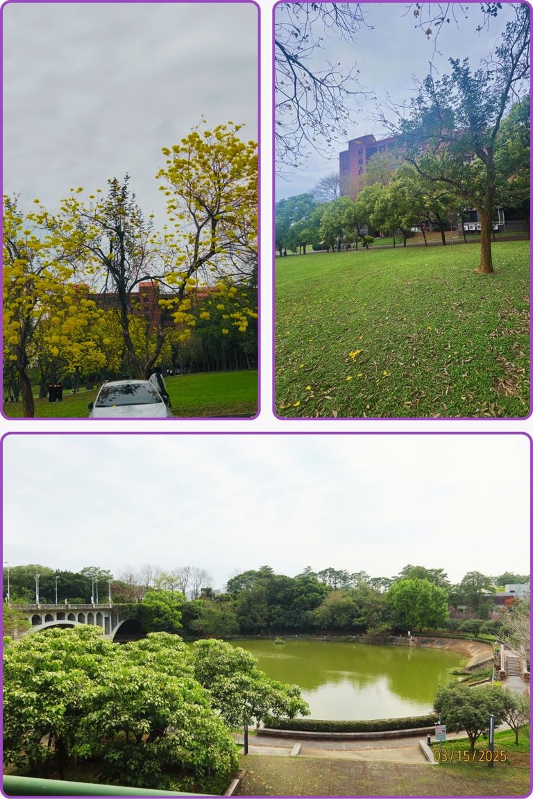 Beige Minimalist Mood Photo Collage (3).jpg