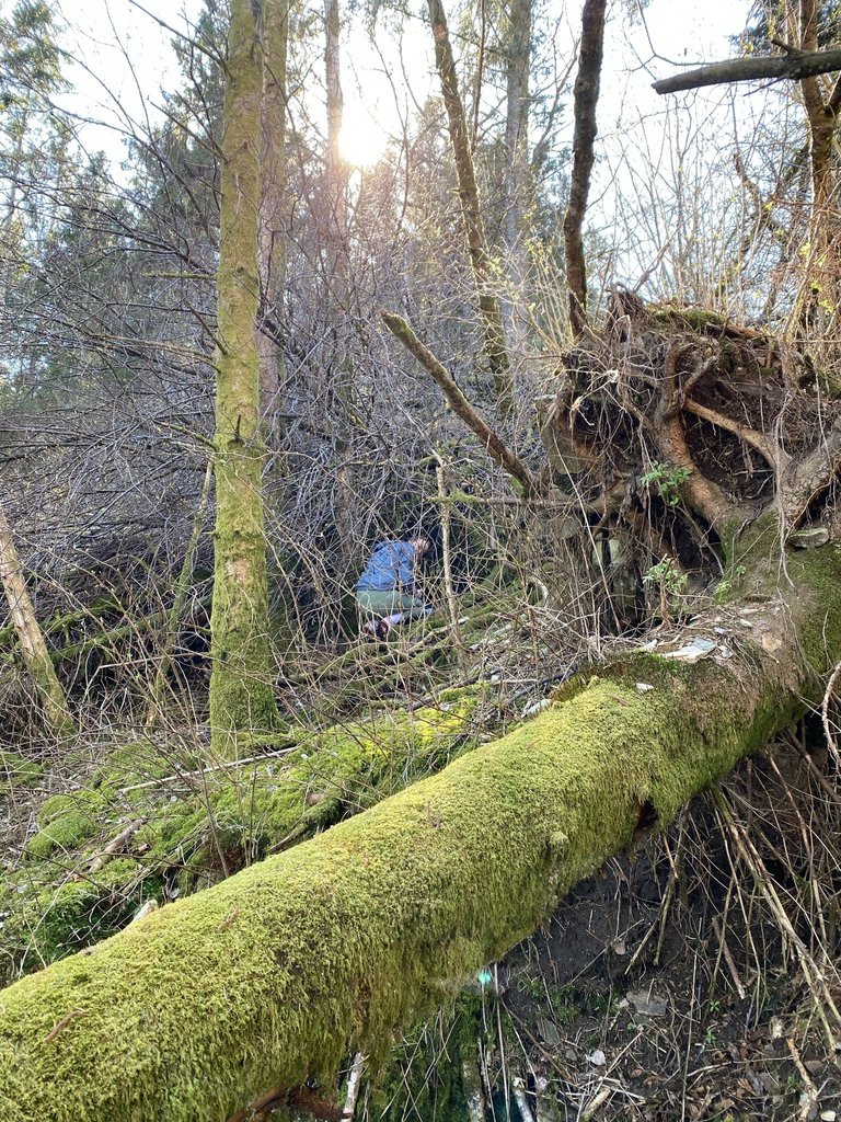 My girlfriend managed to climb through the debris to find the cache.
