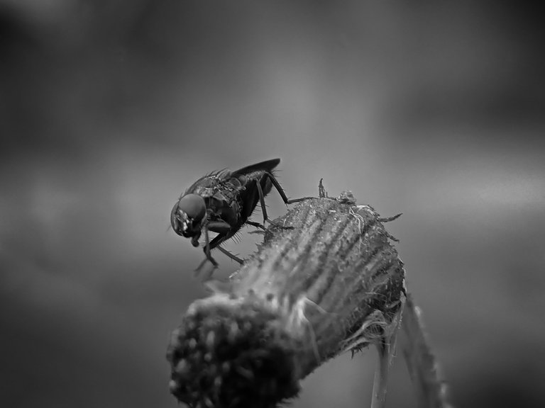 IMG20230124171455_01-01 (1).jpg